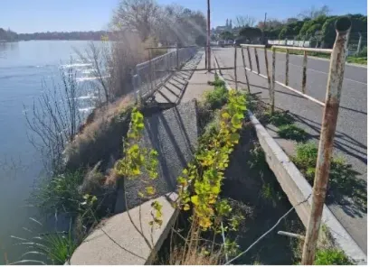 DEFENSA COSTERA ESTABILIZACION DE MARGEN