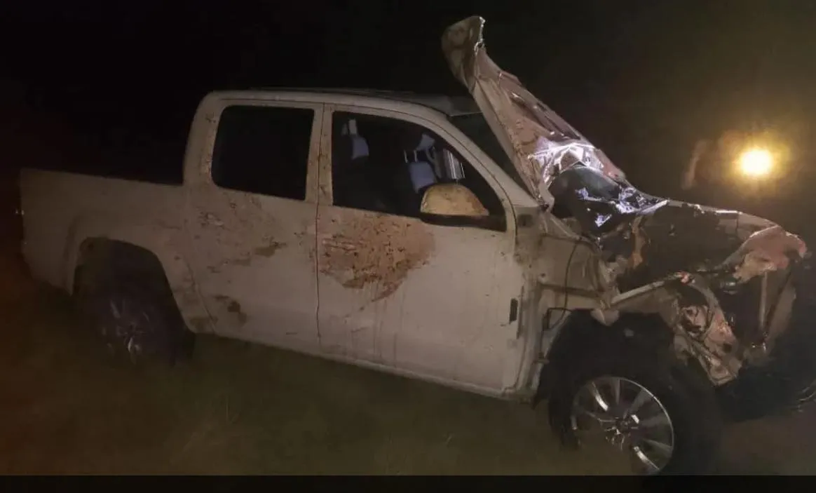 RUTA 3, ACCIDENTE, VACA