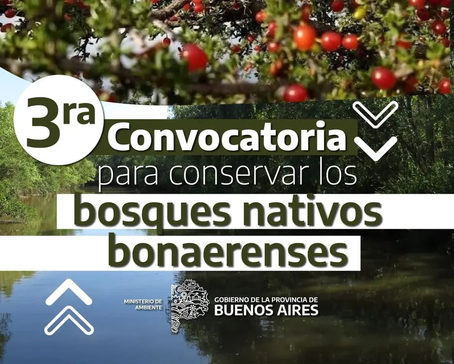 conservacion bosques nativos