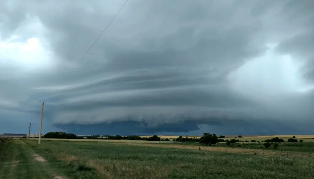CAMPO TORMENTA