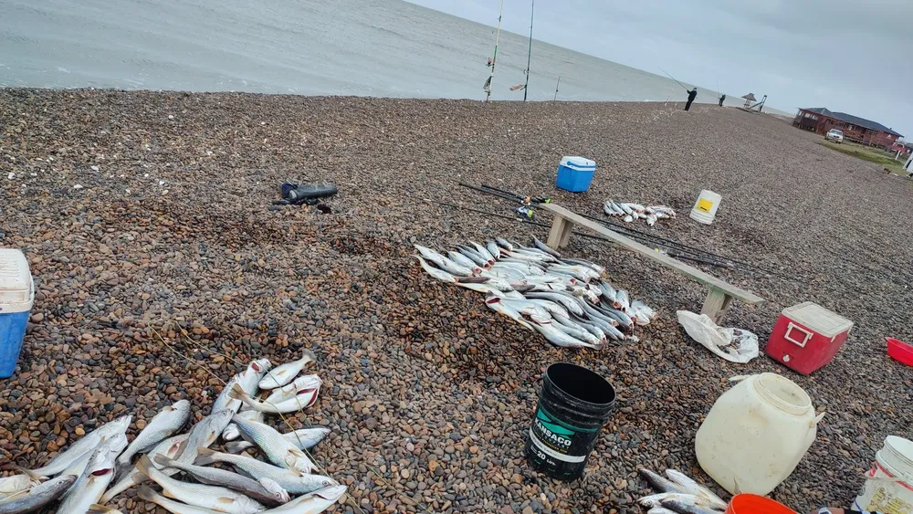 SAN BLAS, PESCA