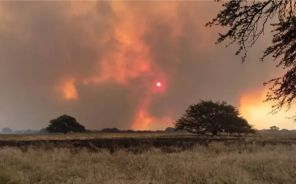 VILLARINO INCENDIO