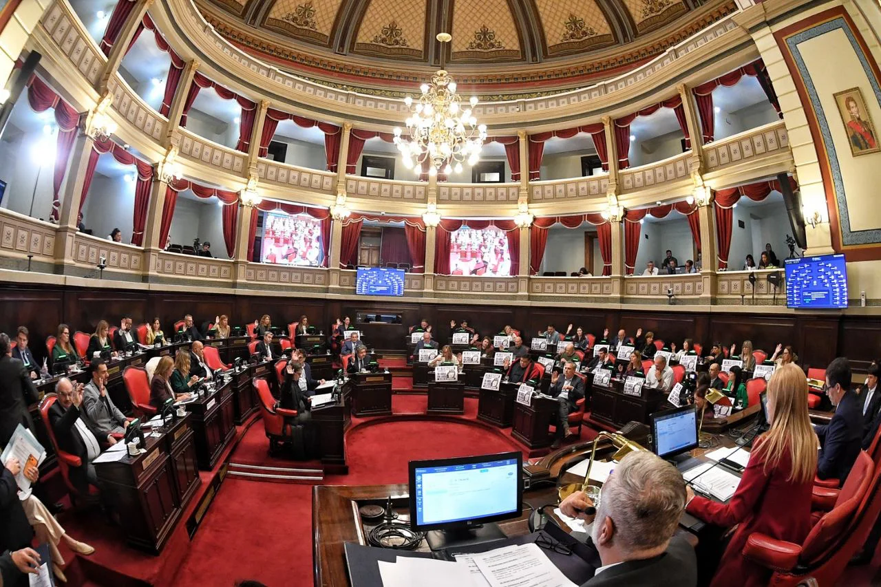 SENADO
